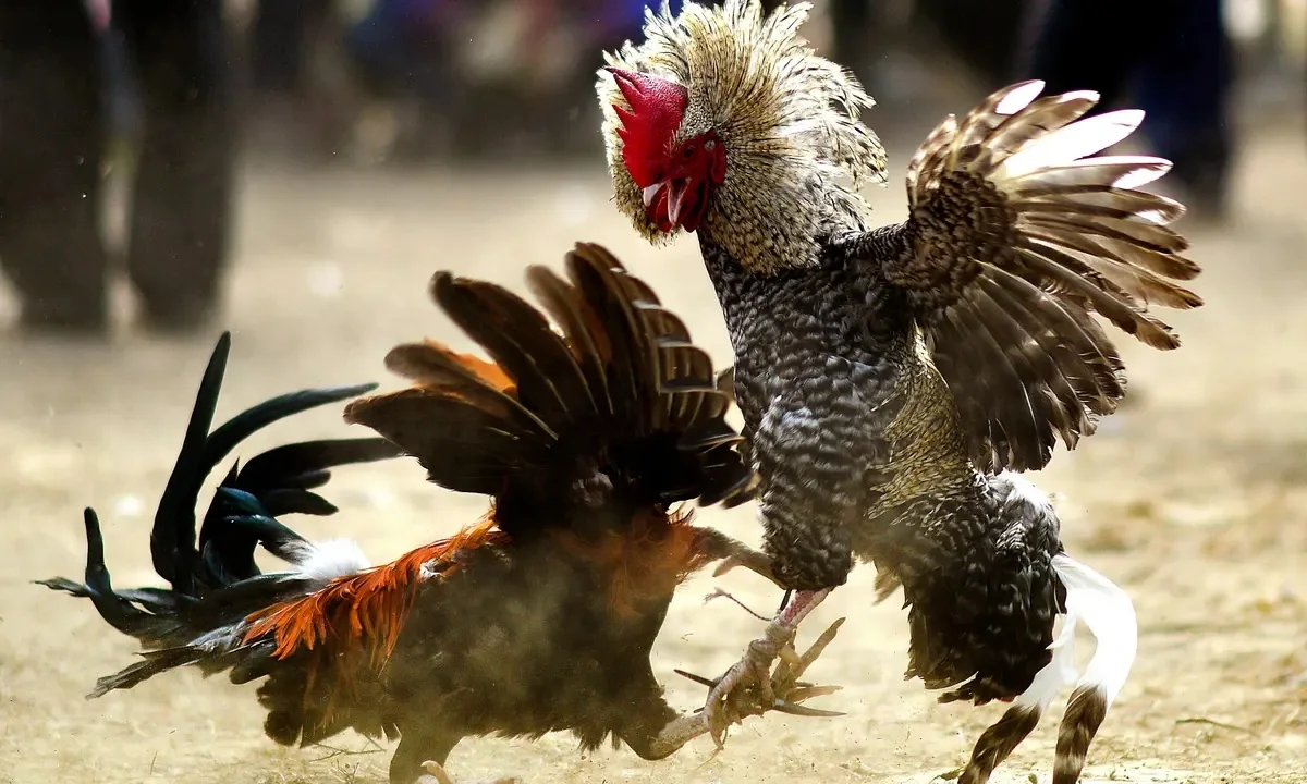 Visual permainan mobile bertema olahraga dan hiburan di INDO126